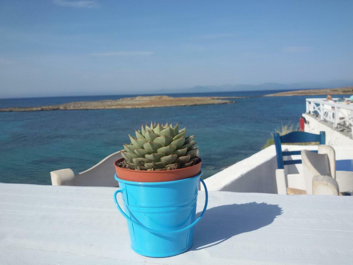 Sea & City - 10 Min Drive To The Beach & Athens Airport Apartment Markopoulo Mesogaias Luaran gambar